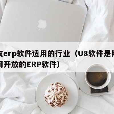 用友erp软件适用的行业（U8软件是用友公司开放的ERP软件）