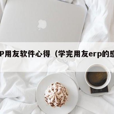 ERP用友软件心得（学完用友erp的感想）