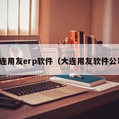 大连用友erp软件（大连用友软件公司）