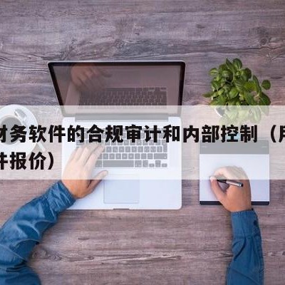 用友财务软件的合规审计和内部控制（用友审计软件报价）