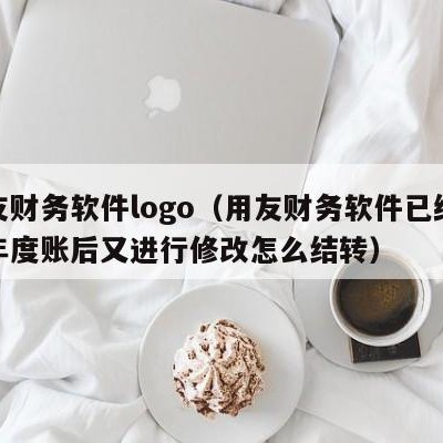 用友财务软件logo（用友财务软件已经结转年度账后又进行修改怎么结转）