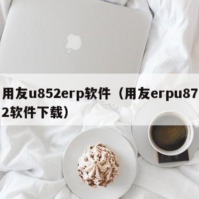 用友u852erp软件（用友erpu872软件下载）