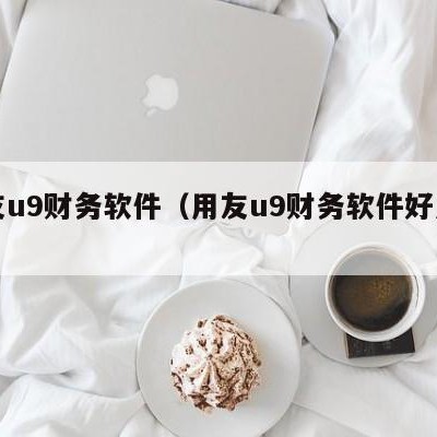 用友u9财务软件（用友u9财务软件好用吗）