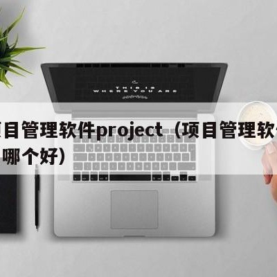 项目管理软件project（项目管理软件用哪个好）