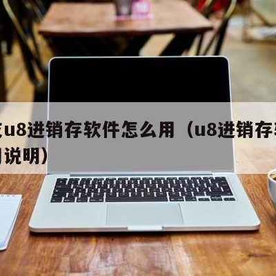 用友u8进销存软件怎么用（u8进销存软件使用说明）