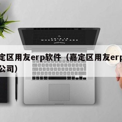 嘉定区用友erp软件（嘉定区用友erp软件公司）