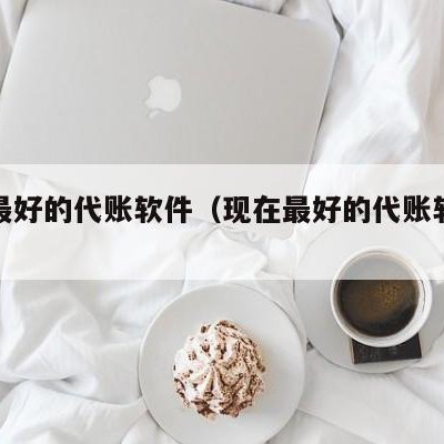 现在最好的代账软件（现在最好的代账软件排名）