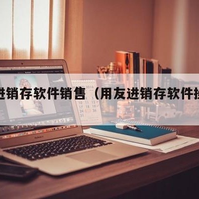 用友进销存软件销售（用友进销存软件操作视频）