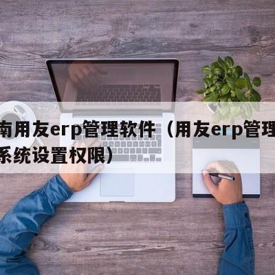 济南用友erp管理软件（用友erp管理软件系统设置权限）