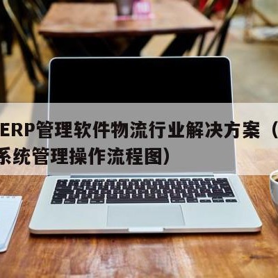 用友ERP管理软件物流行业解决方案（用友erp系统管理操作流程图）