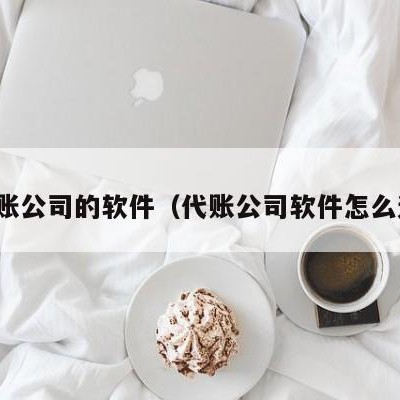 代账公司的软件（代账公司软件怎么选）