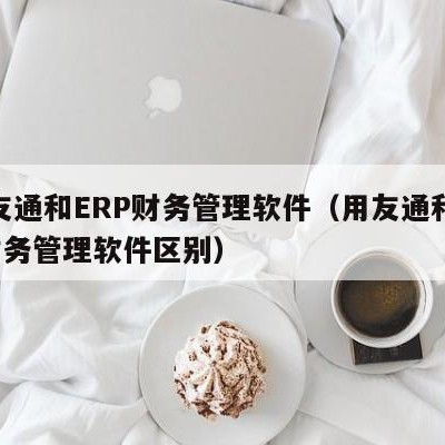 用友通和ERP财务管理软件（用友通和erp财务管理软件区别）