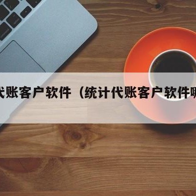 统计代账客户软件（统计代账客户软件哪个好）