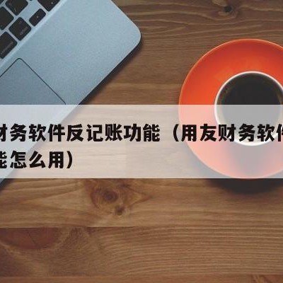 用友财务软件反记账功能（用友财务软件反记账功能怎么用）