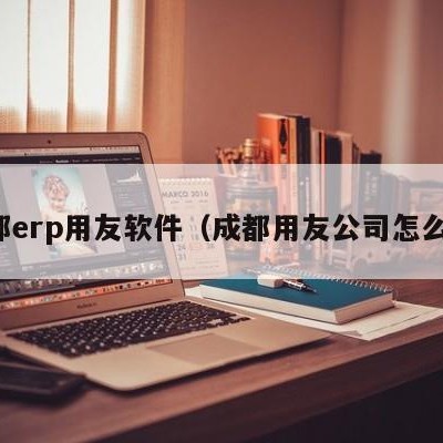 成都erp用友软件（成都用友公司怎么样）