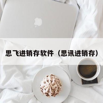 思飞进销存软件（思讯进销存）