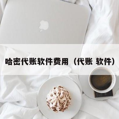 哈密代账软件费用（代账 软件）