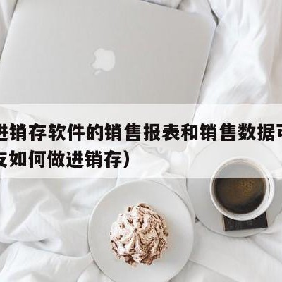 用友进销存软件的销售报表和销售数据可视化（用友如何做进销存）