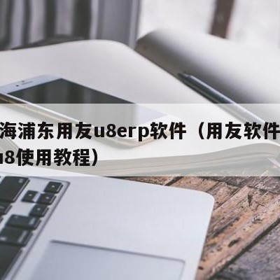 上海浦东用友u8erp软件（用友软件erpu8使用教程）