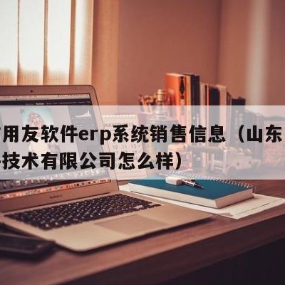 潍坊用友软件erp系统销售信息（山东用友软件技术有限公司怎么样）