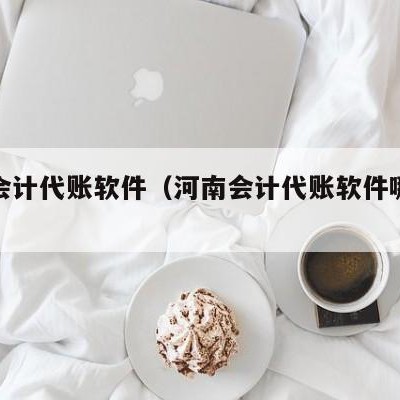 河南会计代账软件（河南会计代账软件哪个好用）