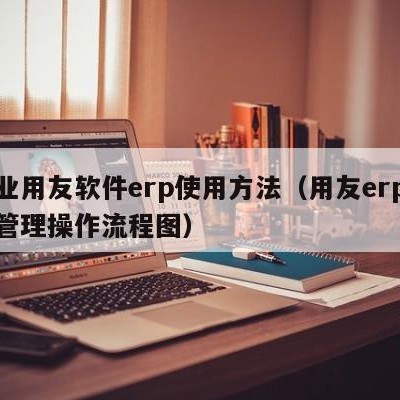 企业用友软件erp使用方法（用友erp系统管理操作流程图）