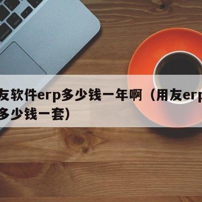 用友软件erp多少钱一年啊（用友erp软件多少钱一套）