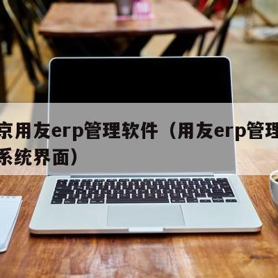 南京用友erp管理软件（用友erp管理软件系统界面）