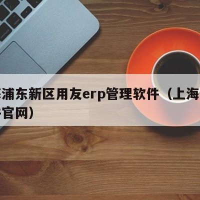 上海浦东新区用友erp管理软件（上海用友软件官网）