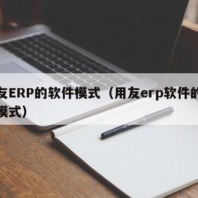 用友ERP的软件模式（用友erp软件的软件模式）