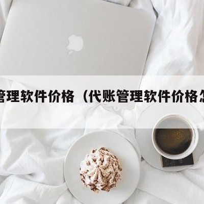 代账管理软件价格（代账管理软件价格怎么设置）