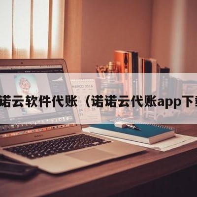 诺诺云软件代账（诺诺云代账app下载）