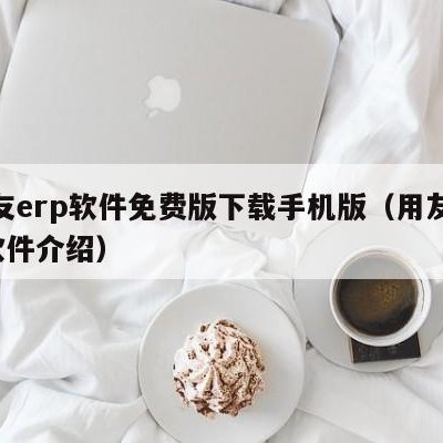 用友erp软件免费版下载手机版（用友erp软件介绍）