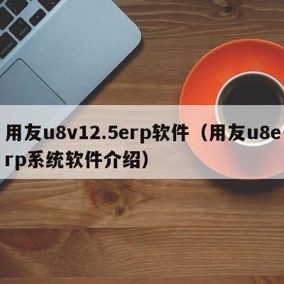 用友u8v12.5erp软件（用友u8erp系统软件介绍）