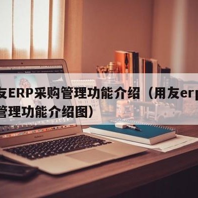 用友ERP采购管理功能介绍（用友erp采购管理功能介绍图）