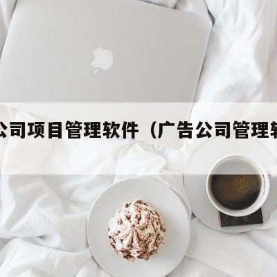 广告公司项目管理软件（广告公司管理软件免费）