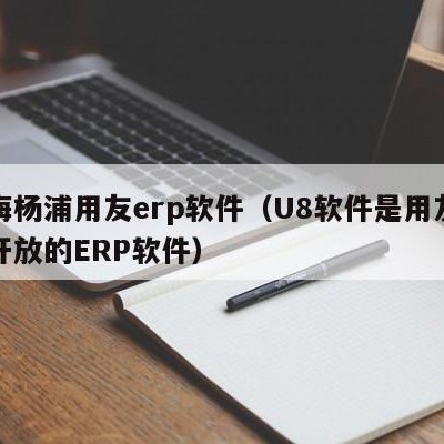 上海杨浦用友erp软件（U8软件是用友公司开放的ERP软件）