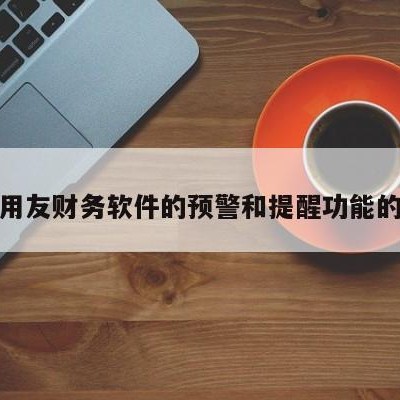 关于用友财务软件的预警和提醒功能的信息