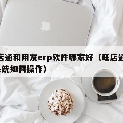 旺店通和用友erp软件哪家好（旺店通erp系统如何操作）