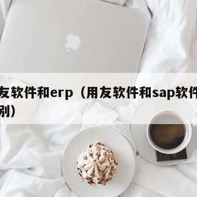 用友软件和erp（用友软件和sap软件的区别）