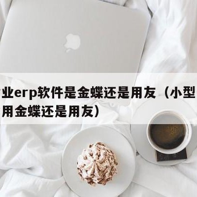 小企业erp软件是金蝶还是用友（小型生产企业用金蝶还是用友）