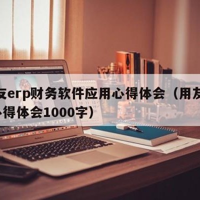 用友erp财务软件应用心得体会（用友erp心得体会1000字）