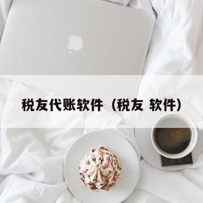 税友代账软件（税友 软件）