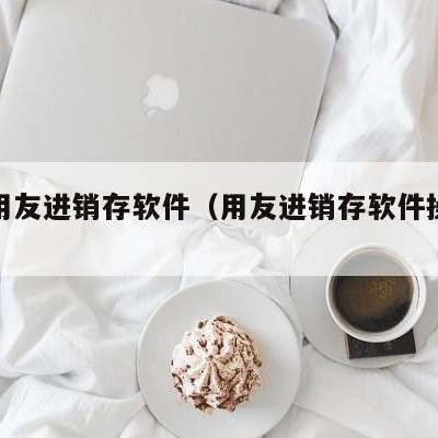 张掖用友进销存软件（用友进销存软件操作视频）