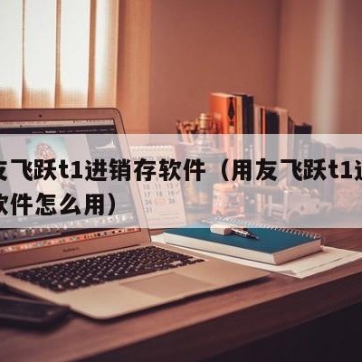 用友飞跃t1进销存软件（用友飞跃t1进销存软件怎么用）