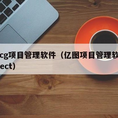 亿岸cg项目管理软件（亿图项目管理软件和project）