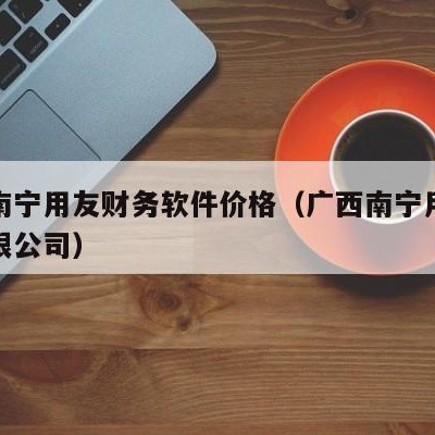 广西南宁用友财务软件价格（广西南宁用友软件有限公司）