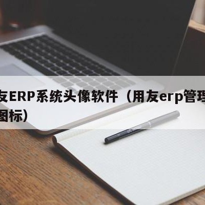 用友ERP系统头像软件（用友erp管理系统图标）