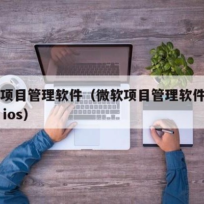 微软项目管理软件（微软项目管理软件project ios）