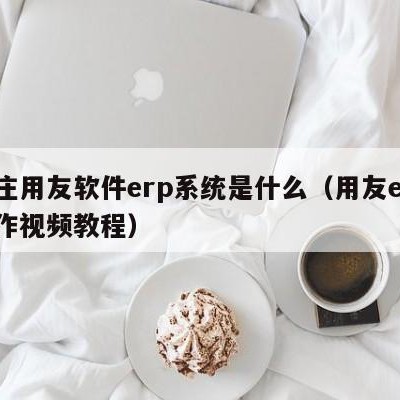 枣庄用友软件erp系统是什么（用友erp操作视频教程）